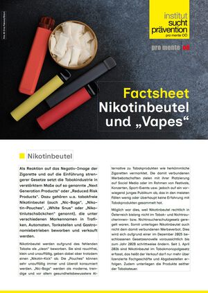 Factsheet Nikotinbeutel und Vapes
